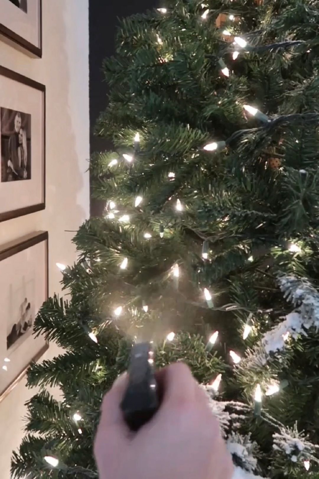 How to Flock Your Christmas Tree Kristyn Cole