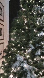 Christmas Tree Spray