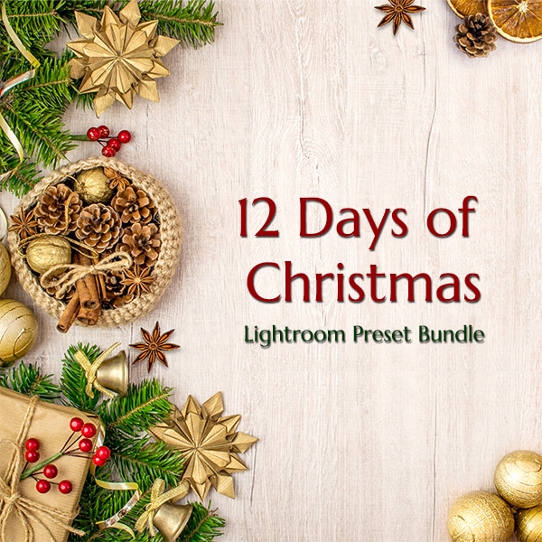 12 Days of Christmas Bundle Cover
