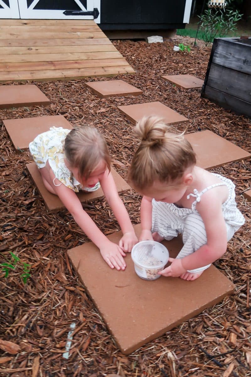 Lady Bug Release Tips