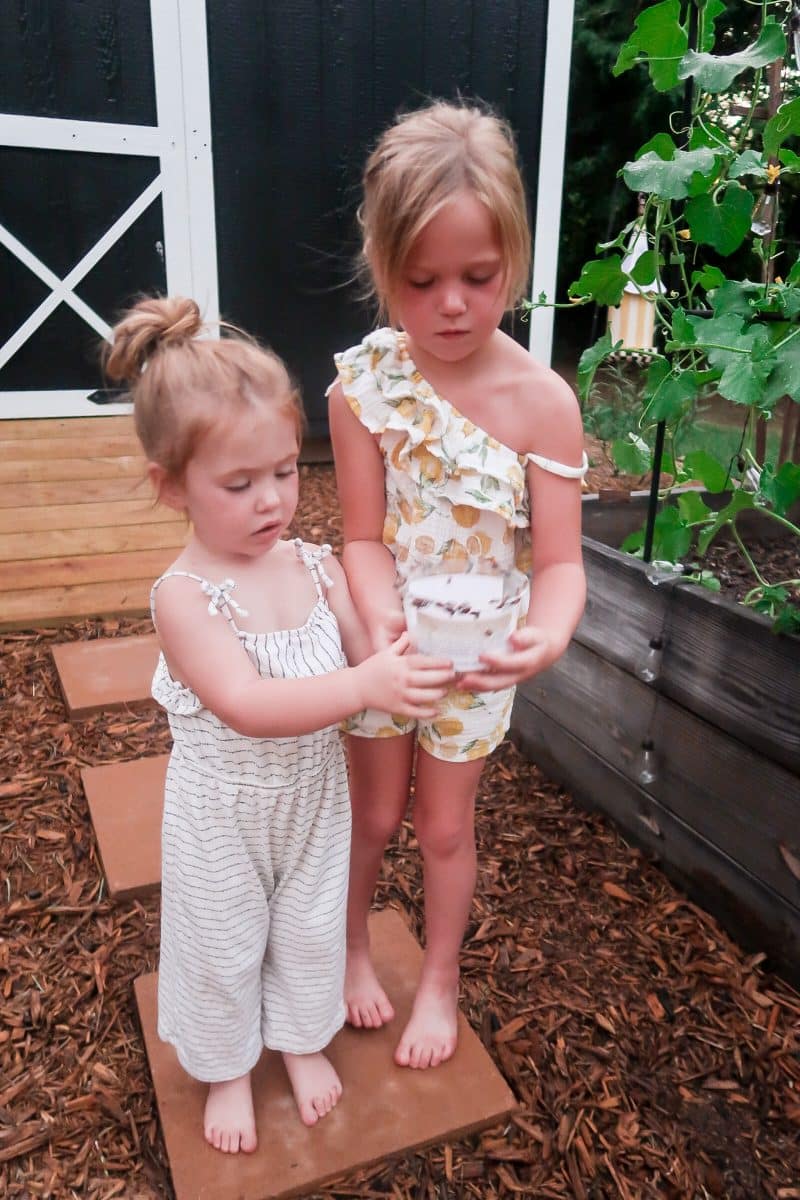 Lady Bug Release Tips
