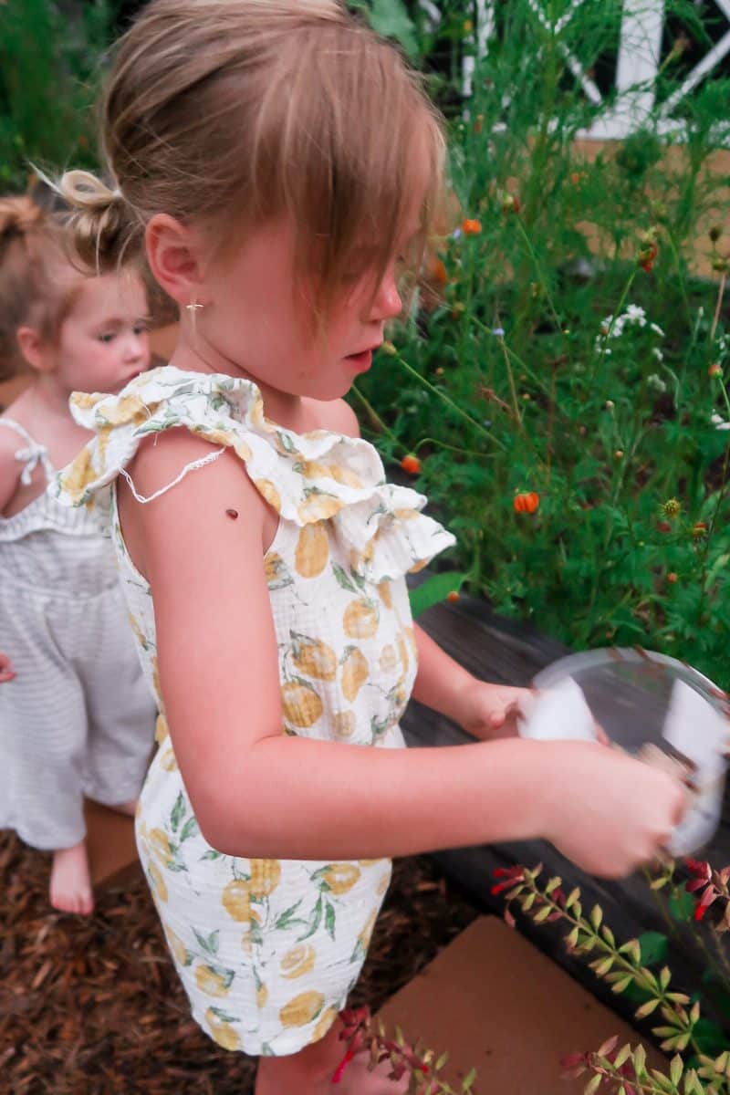 Lady Bug Release Tips