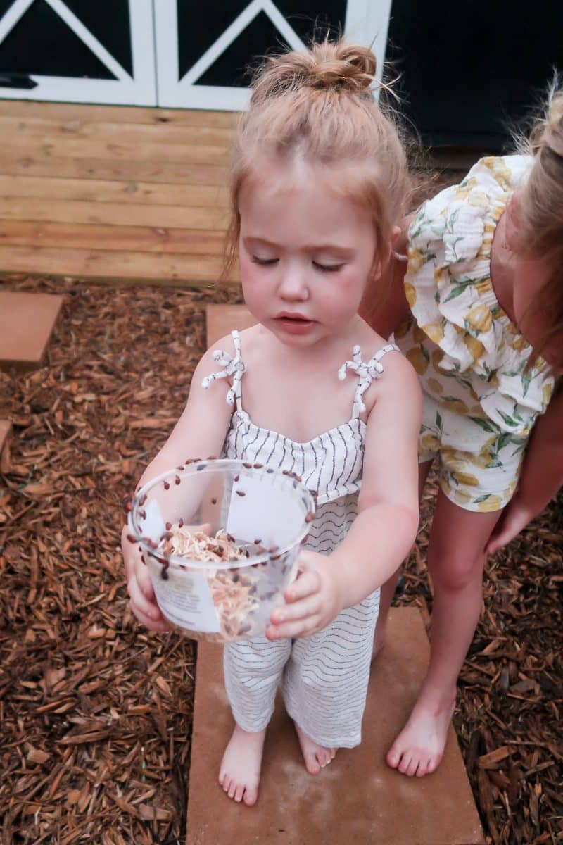 Lady Bug Release Tips