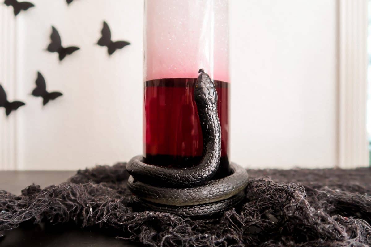 DIY Snake Decanter – Kristyn Cole