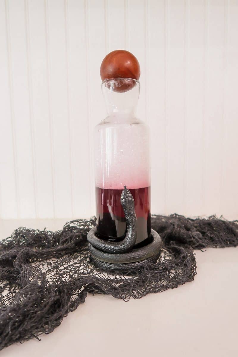 DIY Snake Decanter